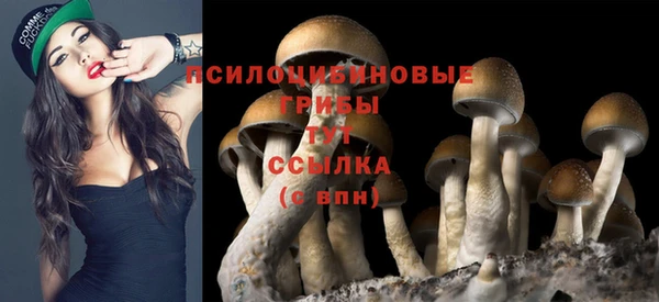каннабис Иннополис