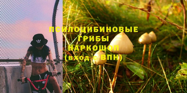 не бодяженный Инсар